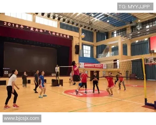 南京排球队在精英赛中的团队协作表现分析与反思